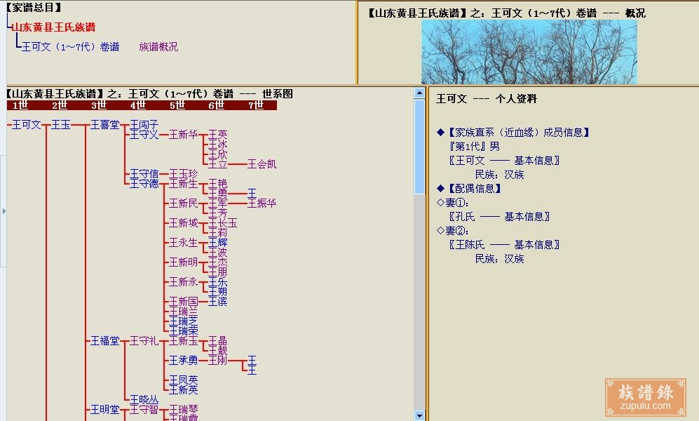 登州府黄县王氏族谱