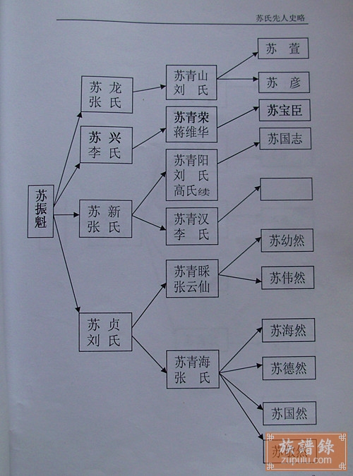 辽宁铁岭苏氏族谱简图