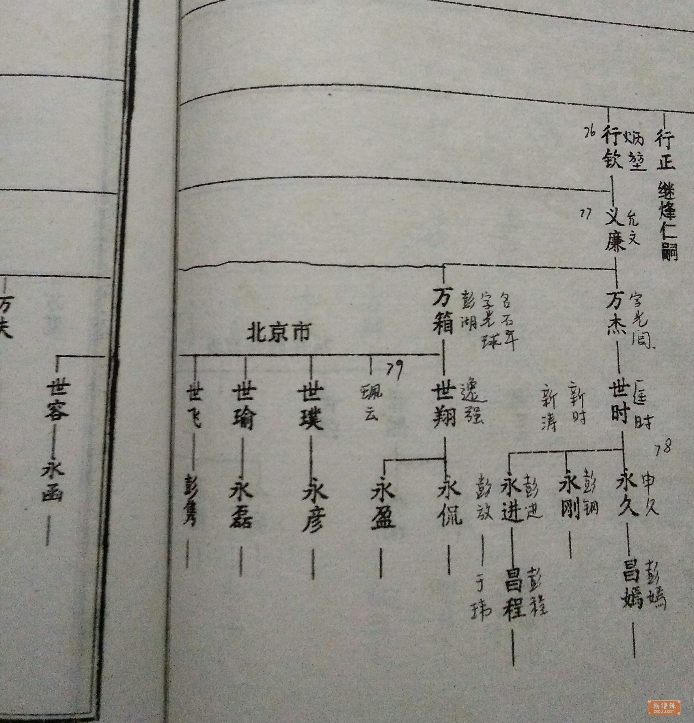 湖南长沙浏阳永安彭氏六修族谱_相册_族人世系图